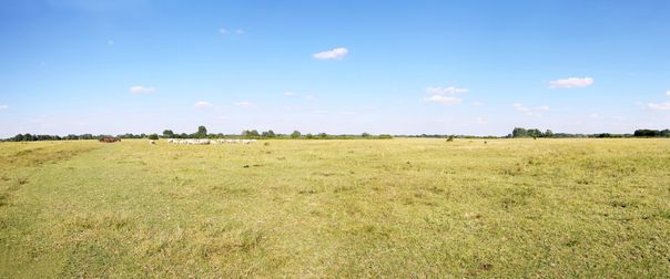 Real Estate Property land Auctions in Amarillo