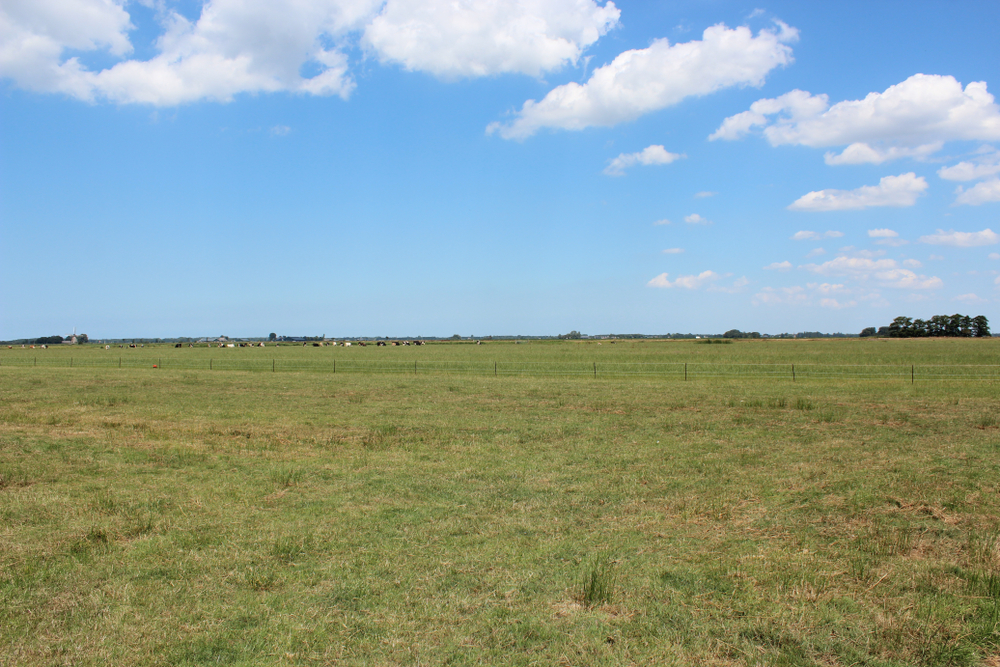 Amarillo Land Auctions (2025) - Best Selling Prices & Options