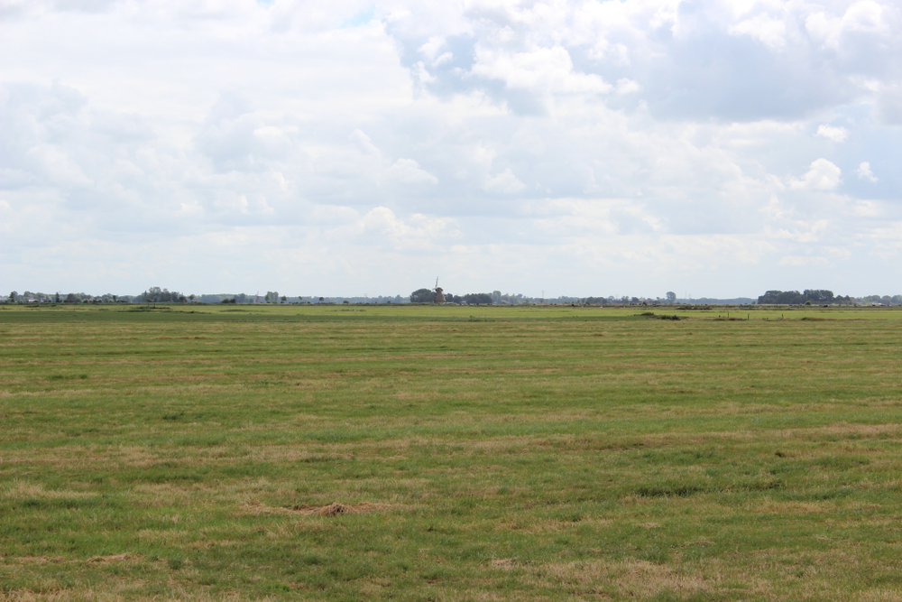 Real Estate Property land Auctions in Lubbock