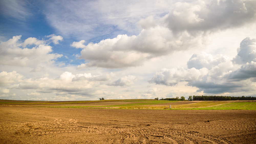 Land Auctions in Brownsville
