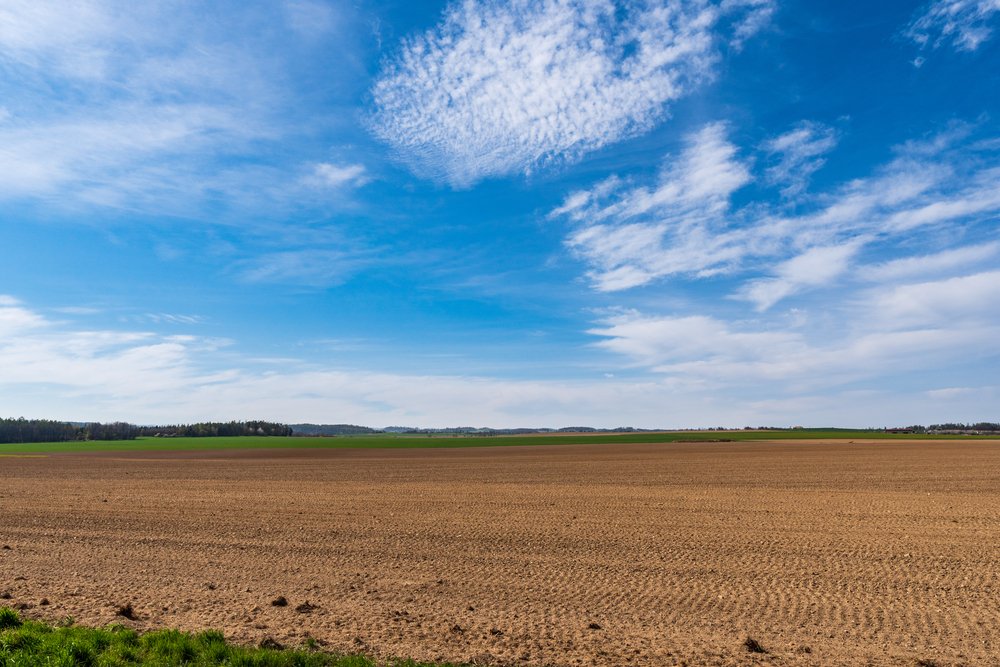 Real Estate Property land Auctions in Brownsville