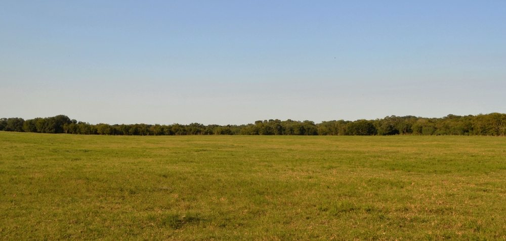 Land Auctions in Lubbock