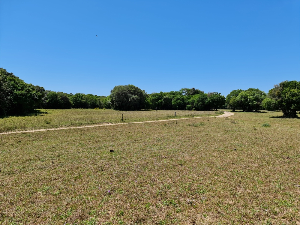 Land Auctions in Dallas
