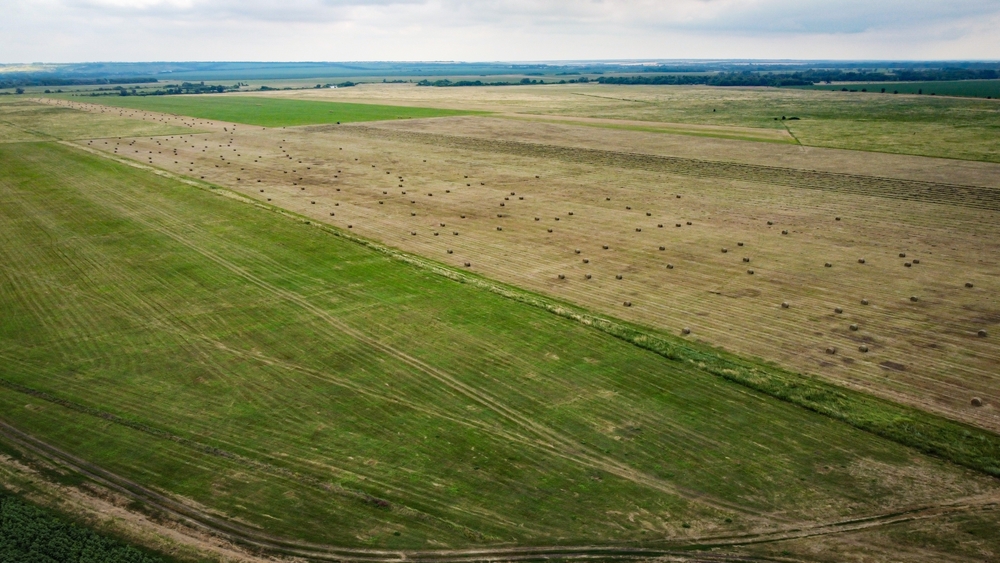 Land Auctions in Plano