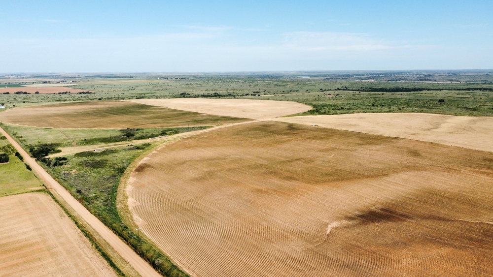 Real Estate Property land Auctions in Corpus Christi