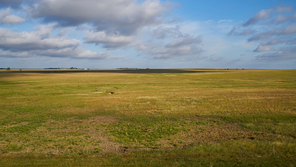 Real Estate Property land Auctions in Arlington