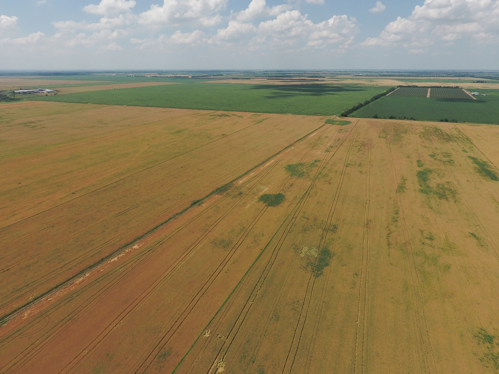 Real Estate Property land Auctions in Plano