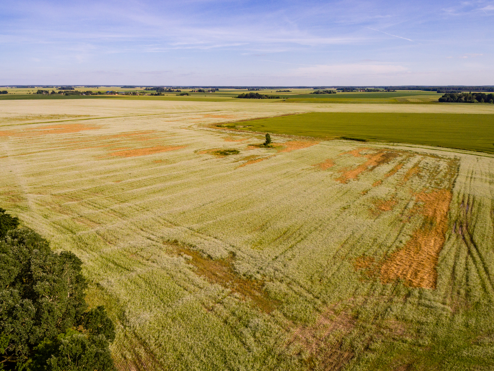 Real Estate Property land Auctions in Laredo