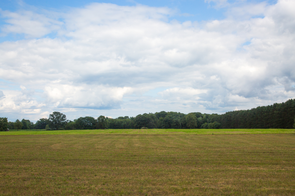 Sell Land Galveston Land Property in Galveston