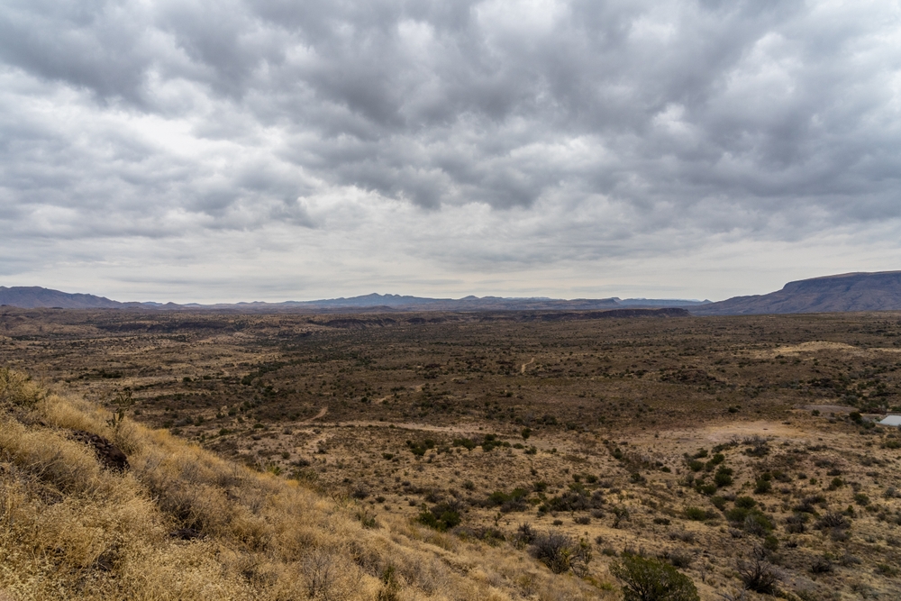 Land Property in Dallas