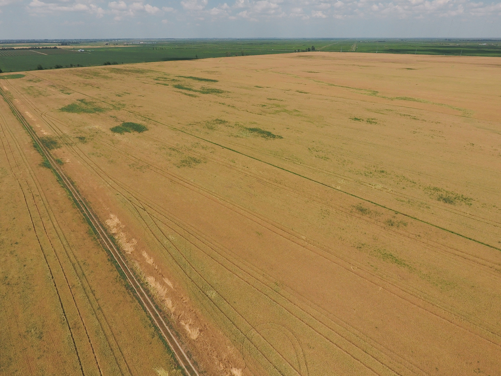 Sell Land Fort Worth Land Property in Fort Worth
