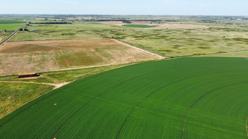 Land Property in San Antonio