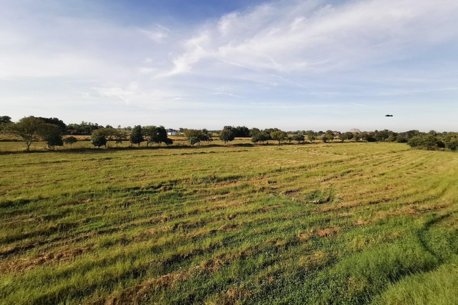 Sell Texas Land Land Property in Texas