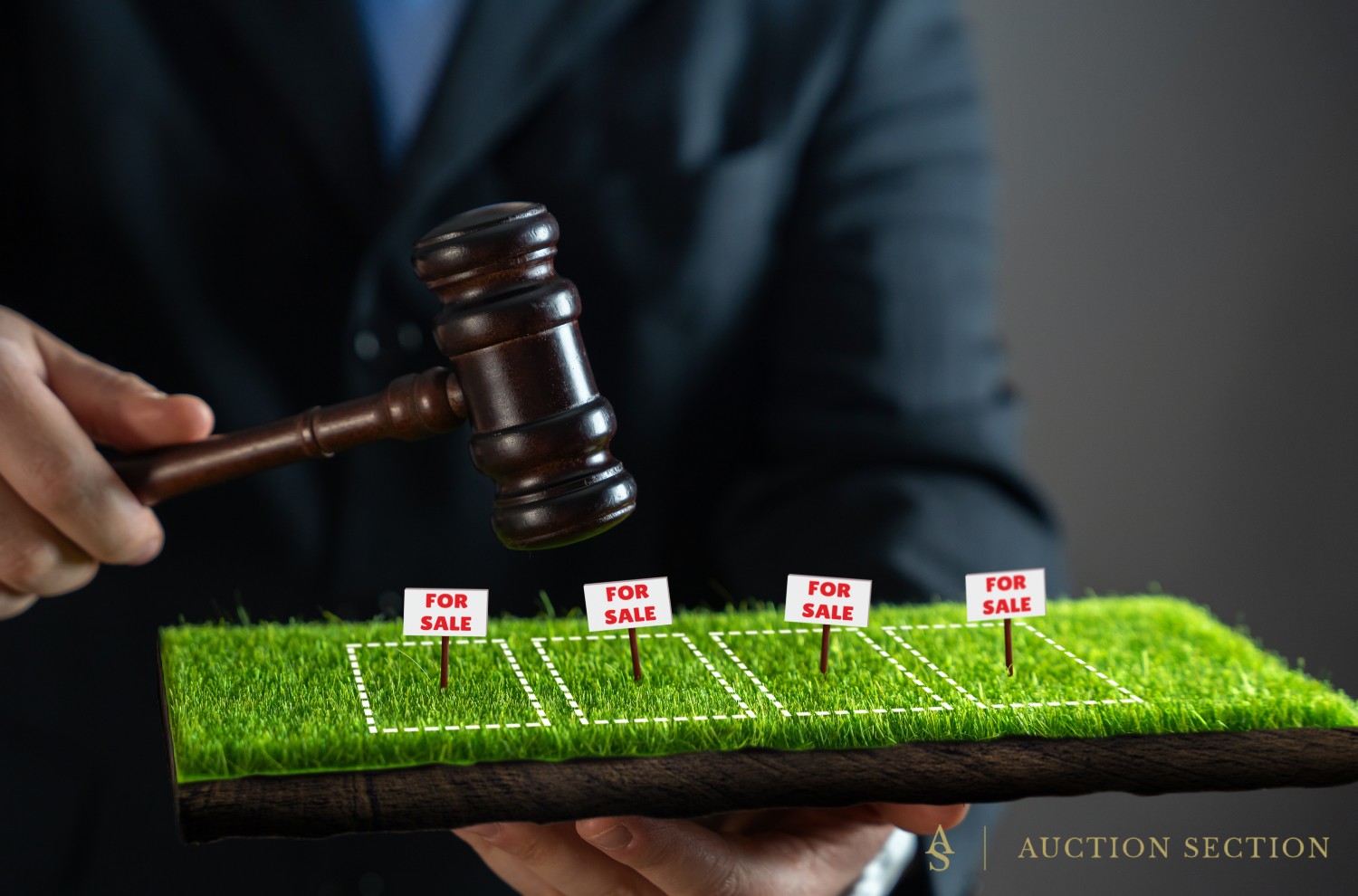 Absolute vs. Reserve Land Auctions: Which Option Is Best?