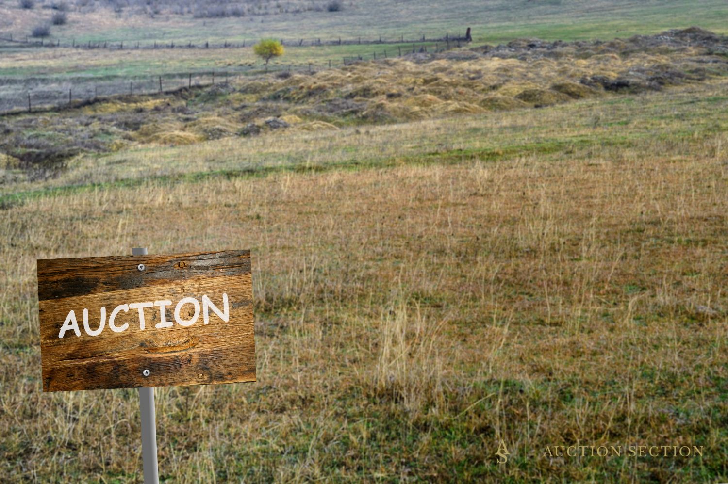 Why Auctions Simplify Selling Raw or Vacant Land