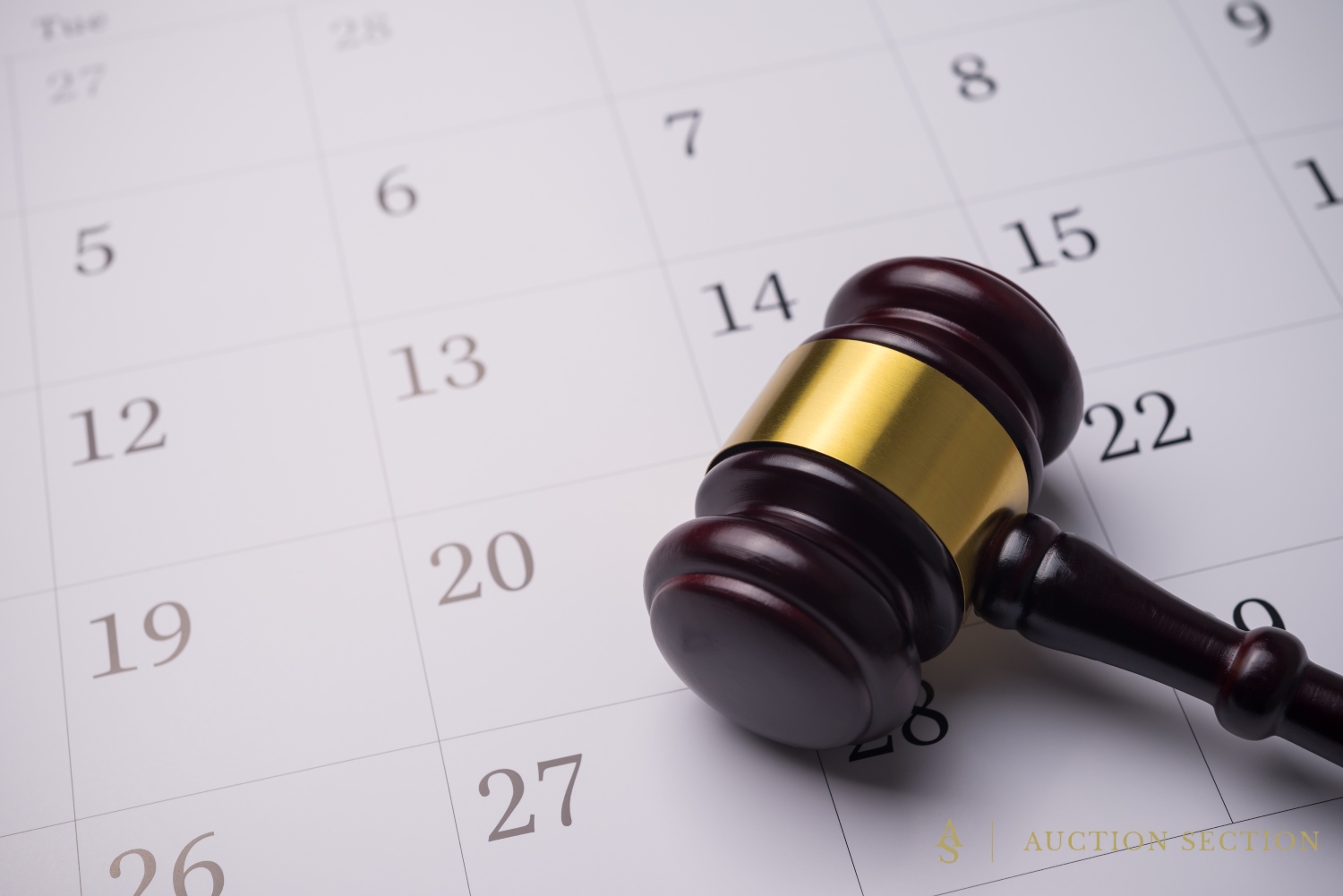The Land Auction Timeline: Your Step-by-Step Guide to Selling Land Fast