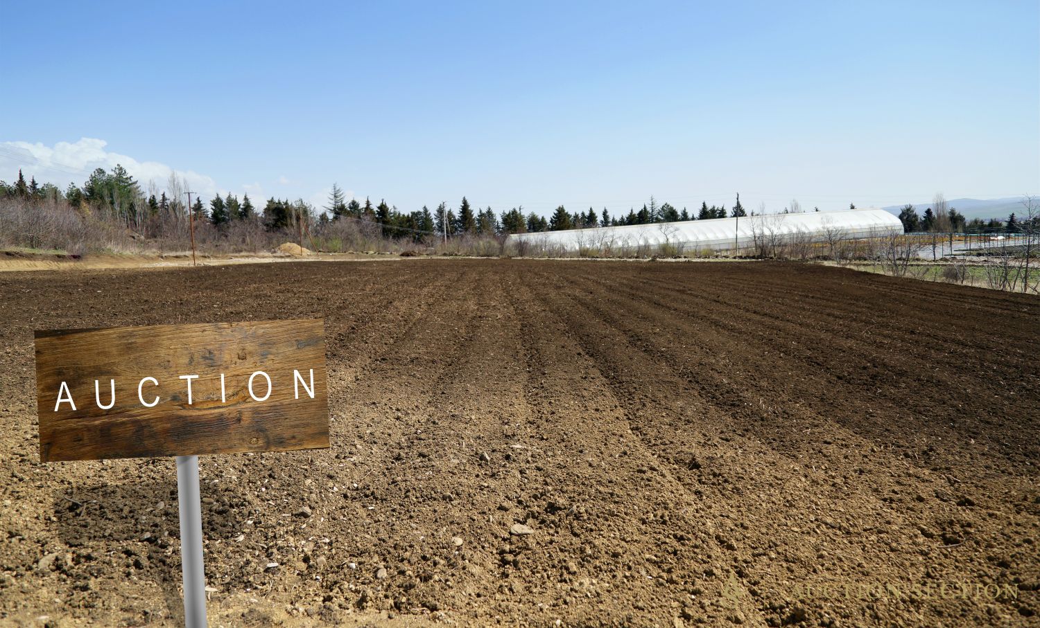 What Is a Land Auction? How It Works for Buyers and Sellers