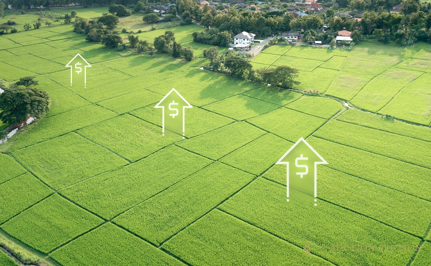How to Accurately Value Your Land Before Selling (Texas Guide)
