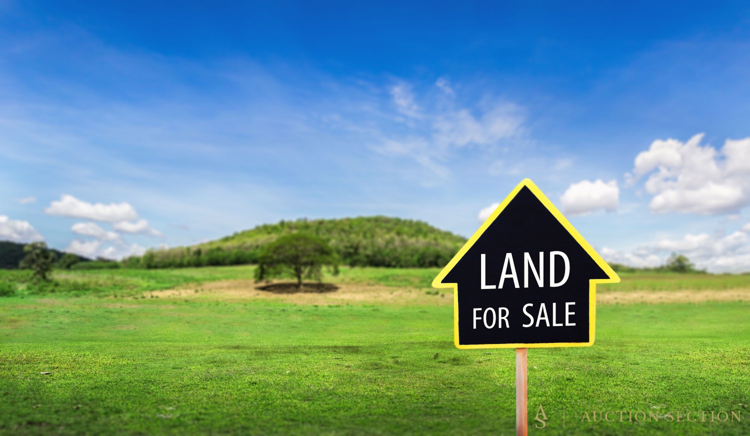 How to Sell Your Land Fast Without Using a Realtor